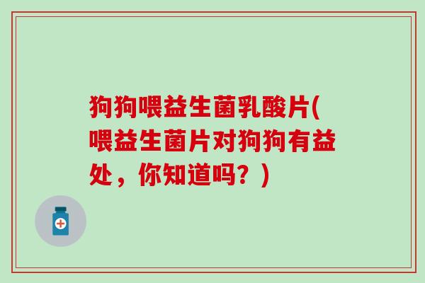狗狗喂益生菌乳酸片(喂益生菌片对狗狗有益处，你知道吗？)