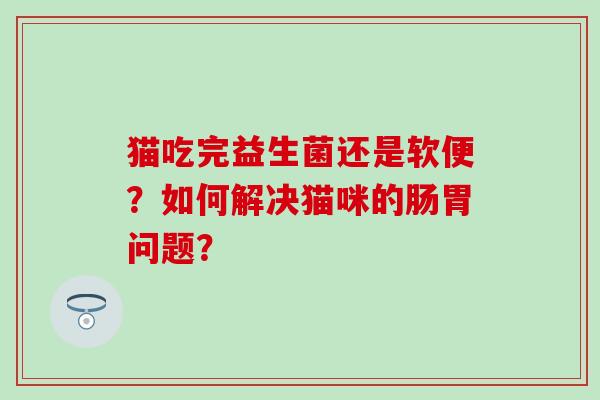 猫吃完益生菌还是软便？如何解决猫咪的肠胃问题？