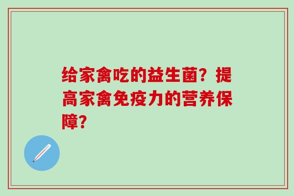 给家禽吃的益生菌？提高家禽免疫力的营养保障？