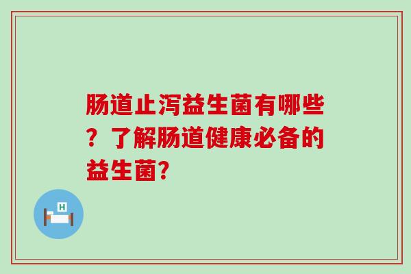 肠道止泻益生菌有哪些？了解肠道健康必备的益生菌？