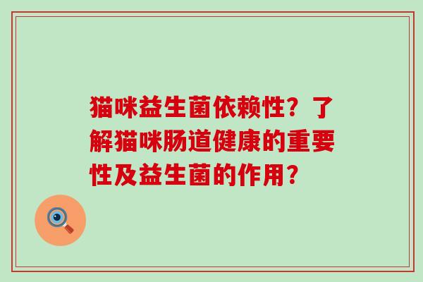 猫咪益生菌依赖性？了解猫咪肠道健康的重要性及益生菌的作用？
