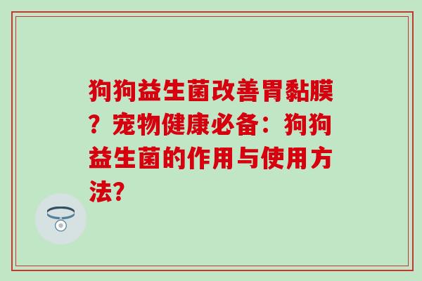 狗狗益生菌改善胃黏膜？宠物健康必备：狗狗益生菌的作用与使用方法？