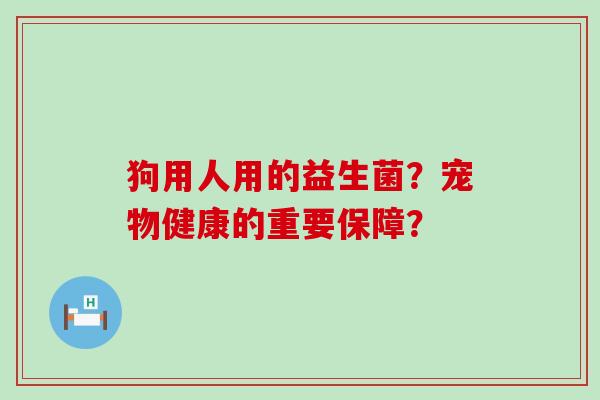狗用人用的益生菌？宠物健康的重要保障？