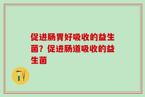 促进肠胃好吸收的益生菌？促进肠道吸收的益生菌