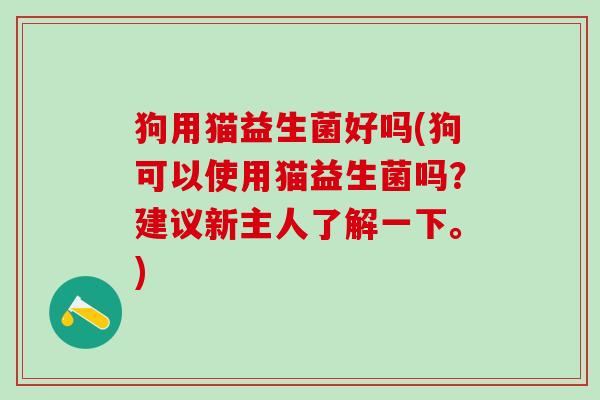 狗用猫益生菌好吗(狗可以使用猫益生菌吗？建议新主人了解一下。)