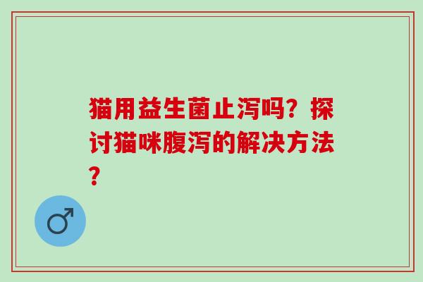 猫用益生菌止泻吗？探讨猫咪腹泻的解决方法？