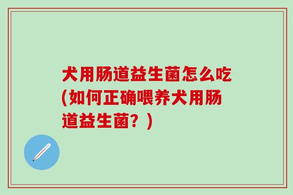 犬用肠道益生菌怎么吃(如何正确喂养犬用肠道益生菌？)