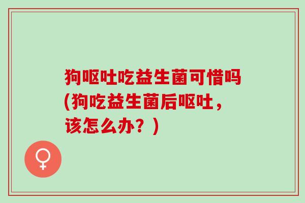 狗呕吐吃益生菌可惜吗(狗吃益生菌后呕吐，该怎么办？)