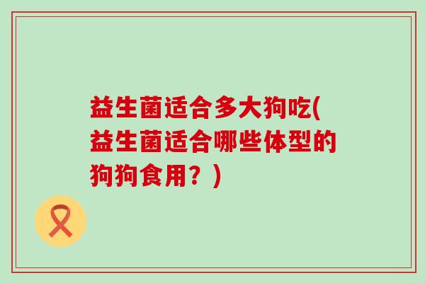 益生菌适合多大狗吃(益生菌适合哪些体型的狗狗食用？)