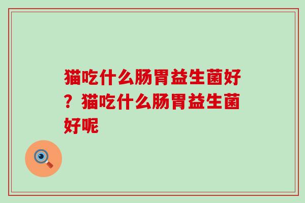 猫吃什么肠胃益生菌好？猫吃什么肠胃益生菌好呢