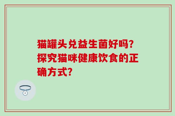 猫罐头兑益生菌好吗？探究猫咪健康饮食的正确方式？