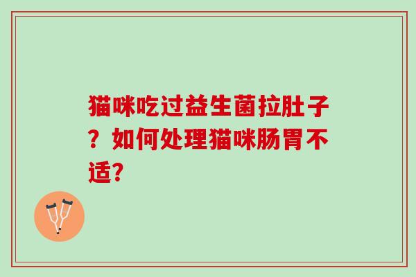 猫咪吃过益生菌拉肚子？如何处理猫咪肠胃不适？