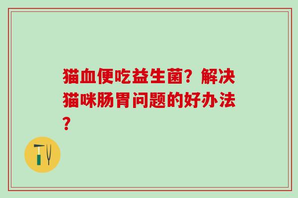 猫血便吃益生菌？解决猫咪肠胃问题的好办法？