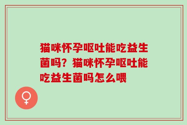猫咪怀孕能吃益生菌吗?猫咪怀孕能吃益生菌吗怎么喂 猫咪怀孕能吃益生菌吗?猫咪怀孕能吃益生菌吗怎么喂
