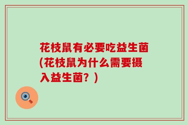 花枝鼠有必要吃益生菌(花枝鼠为什么需要摄入益生菌?) 花枝鼠有必要吃益生菌(花枝鼠为什么需要摄入益生菌?)