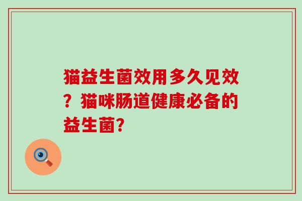 猫益生菌效用多久见效？猫咪肠道健康必备的益生菌？