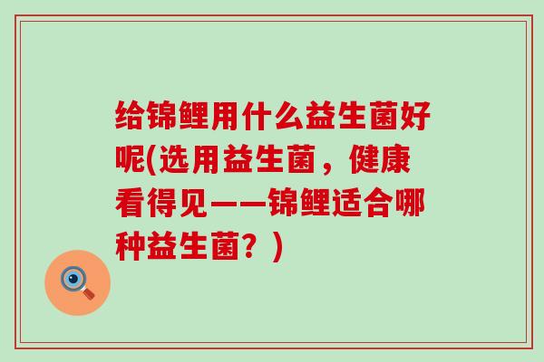 给锦鲤用什么益生菌好呢(选用益生菌，健康看得见——锦鲤适合哪种益生菌？)