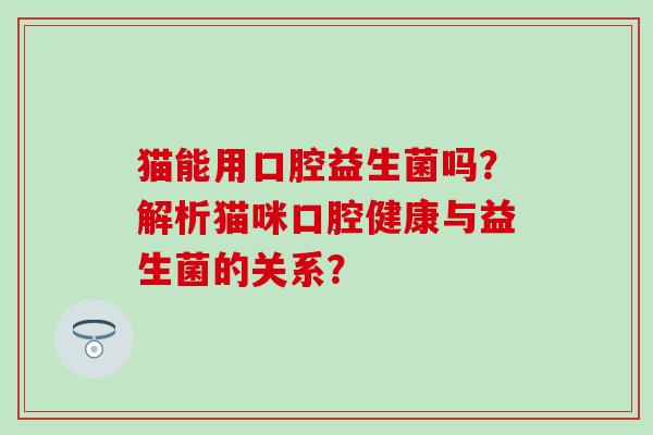 猫能用口腔益生菌吗？解析猫咪口腔健康与益生菌的关系？