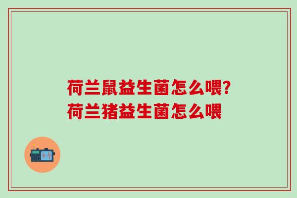 荷兰鼠益生菌怎么喂？荷兰猪益生菌怎么喂