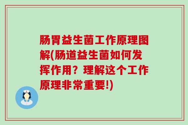 肠胃益生菌工作原理图解(肠道益生菌如何发挥作用？理解这个工作原理非常重要!)