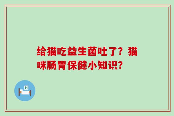 给猫吃益生菌吐了?猫咪肠胃保健小知识? 给猫吃益生菌吐了?猫咪肠胃保健小知识?