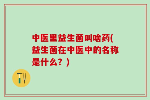 中医里益生菌叫啥药(益生菌在中医中的名称是什么？)