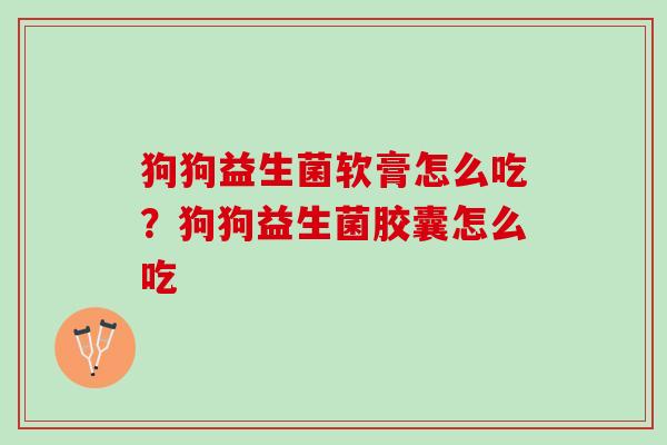 狗狗益生菌软膏怎么吃？狗狗益生菌胶囊怎么吃