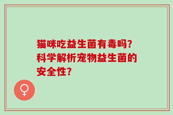 猫咪吃益生菌有毒吗?科学解析宠物益生菌的安全性? 猫咪吃益生菌有毒吗?科学解析宠物益生菌的安全性?