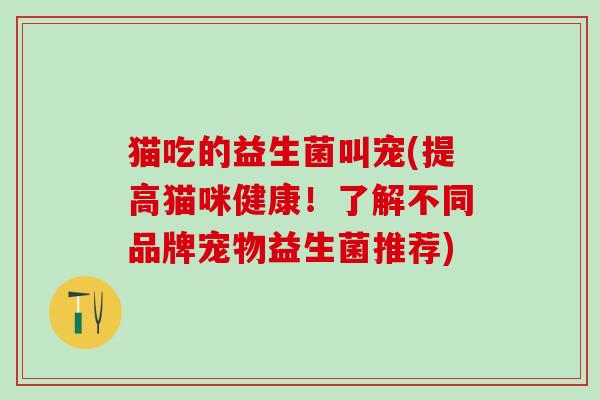 猫吃的益生菌叫宠(提高猫咪健康!了解不同品牌宠物益生菌推荐) 猫吃的益生菌叫宠(提高猫咪健康!了解不同品牌宠物益生菌推荐)