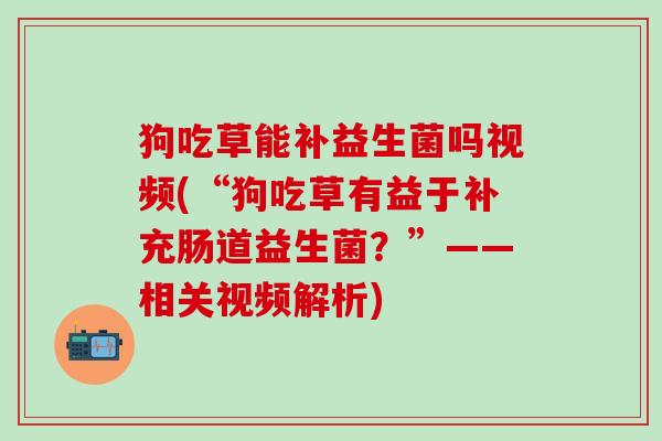 狗吃草能补益生菌吗视频(“狗吃草有益于补充肠道益生菌？”——相关视频解析)