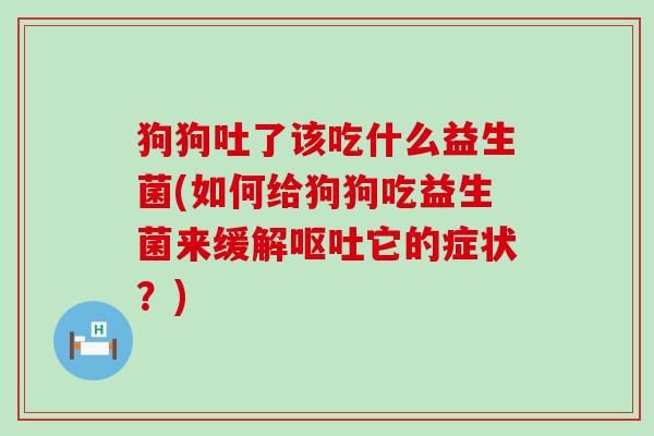 狗狗吐了该吃什么益生菌(如何给狗狗吃益生菌来缓解它的症状?) 狗狗吐了该吃什么益生菌(如何给狗狗吃益生菌来缓解它的症状?)