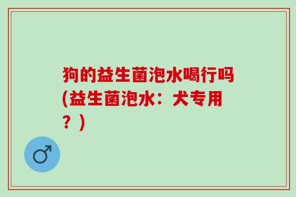 狗的益生菌泡水喝行吗(益生菌泡水：犬专用？)