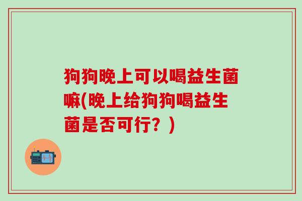 狗狗晚上可以喝益生菌嘛(晚上给狗狗喝益生菌是否可行？)