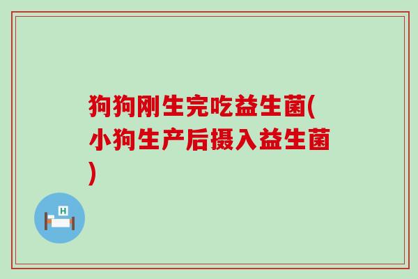 狗狗刚生完吃益生菌(小狗生产后摄入益生菌)