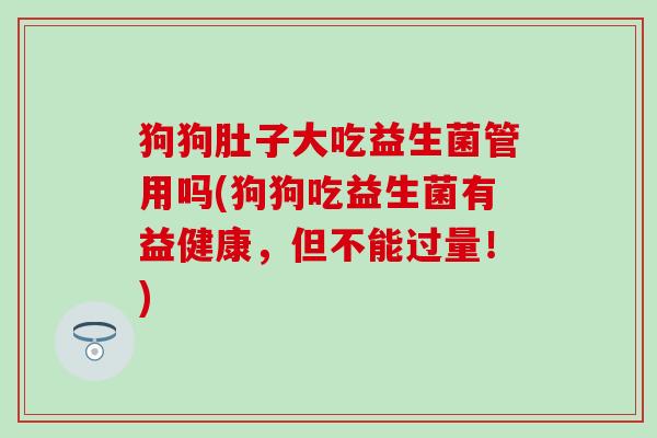 狗狗肚子大吃益生菌管用吗(狗狗吃益生菌有益健康，但不能过量！)