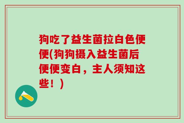 狗吃了益生菌拉白色便便(狗狗摄入益生菌后便便变白，主人须知这些！)