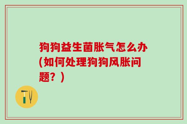 狗狗益生菌胀气怎么办(如何处理狗狗风胀问题？)