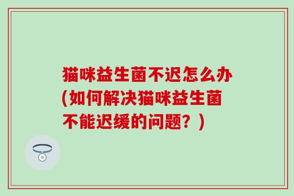 猫咪益生菌不迟怎么办(如何解决猫咪益生菌不能迟缓的问题？)