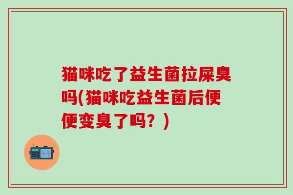 猫咪吃了益生菌拉屎臭吗(猫咪吃益生菌后便便变臭了吗？)