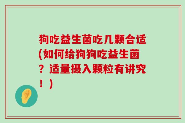 狗吃益生菌吃几颗合适(如何给狗狗吃益生菌？适量摄入颗粒有讲究！)