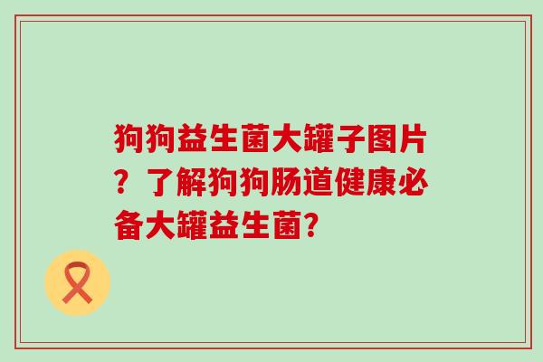 狗狗益生菌大罐子图片？了解狗狗肠道健康必备大罐益生菌？