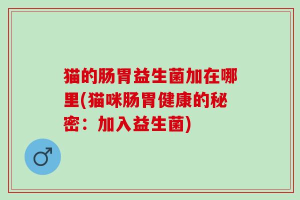 猫的肠胃益生菌加在哪里(猫咪肠胃健康的秘密：加入益生菌)