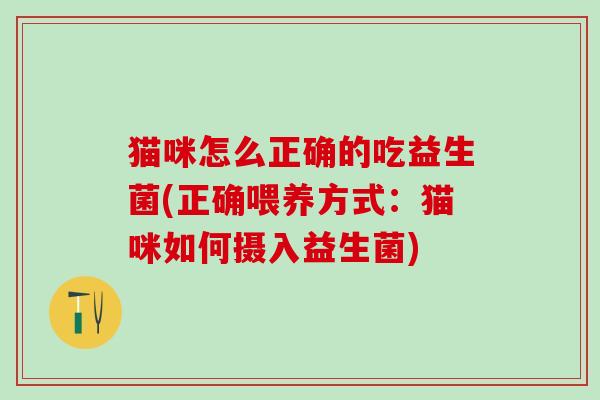 猫咪怎么正确的吃益生菌(正确喂养方式：猫咪如何摄入益生菌)