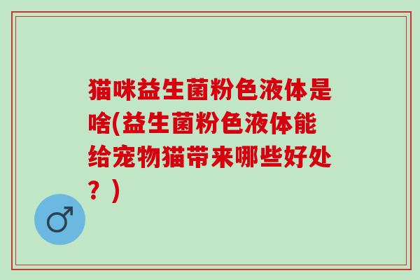猫咪益生菌粉色液体是啥(益生菌粉色液体能给宠物猫带来哪些好处？)