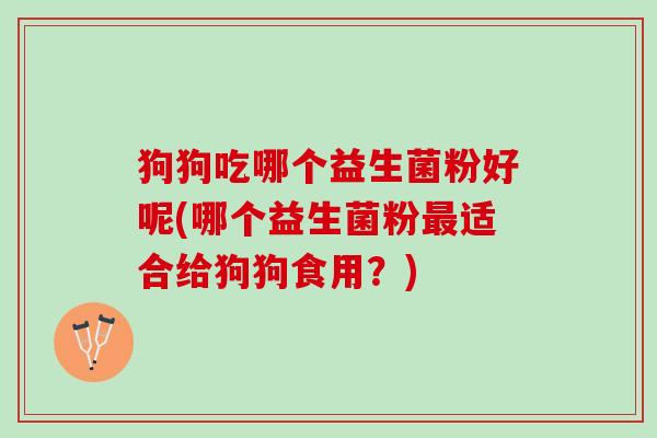 狗狗吃哪个益生菌粉好呢(哪个益生菌粉最适合给狗狗食用？)