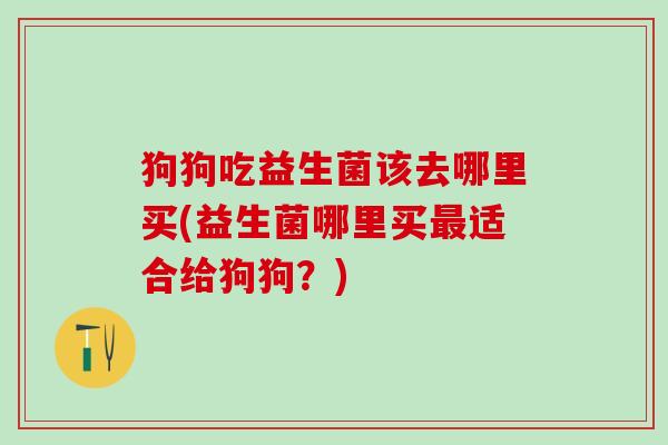 狗狗吃益生菌该去哪里买(益生菌哪里买最适合给狗狗？)
