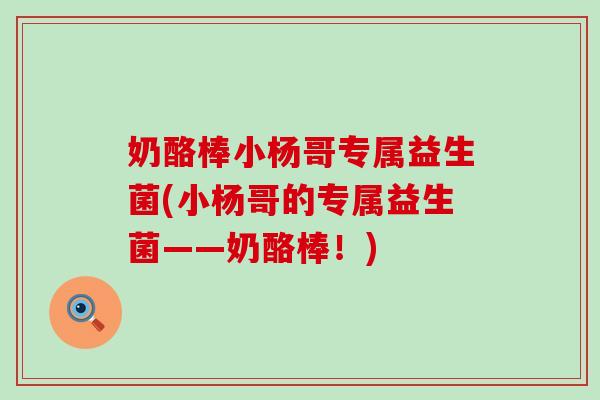 奶酪棒小杨哥专属益生菌(小杨哥的专属益生菌——奶酪棒！)