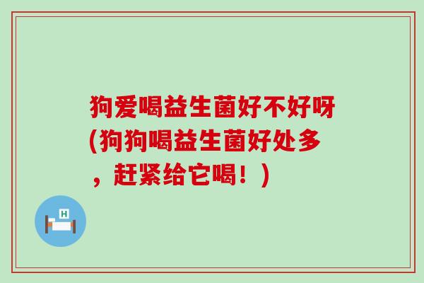 狗爱喝益生菌好不好呀(狗狗喝益生菌好处多，赶紧给它喝！)