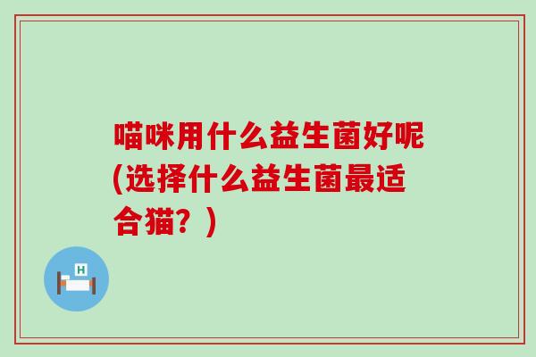 喵咪用什么益生菌好呢(选择什么益生菌最适合猫？)