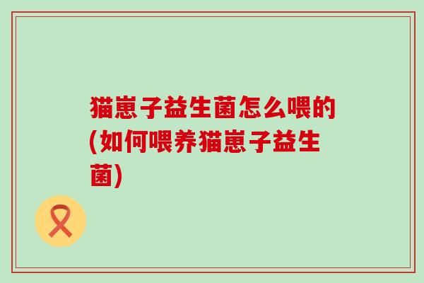 猫崽子益生菌怎么喂的(如何喂养猫崽子益生菌)